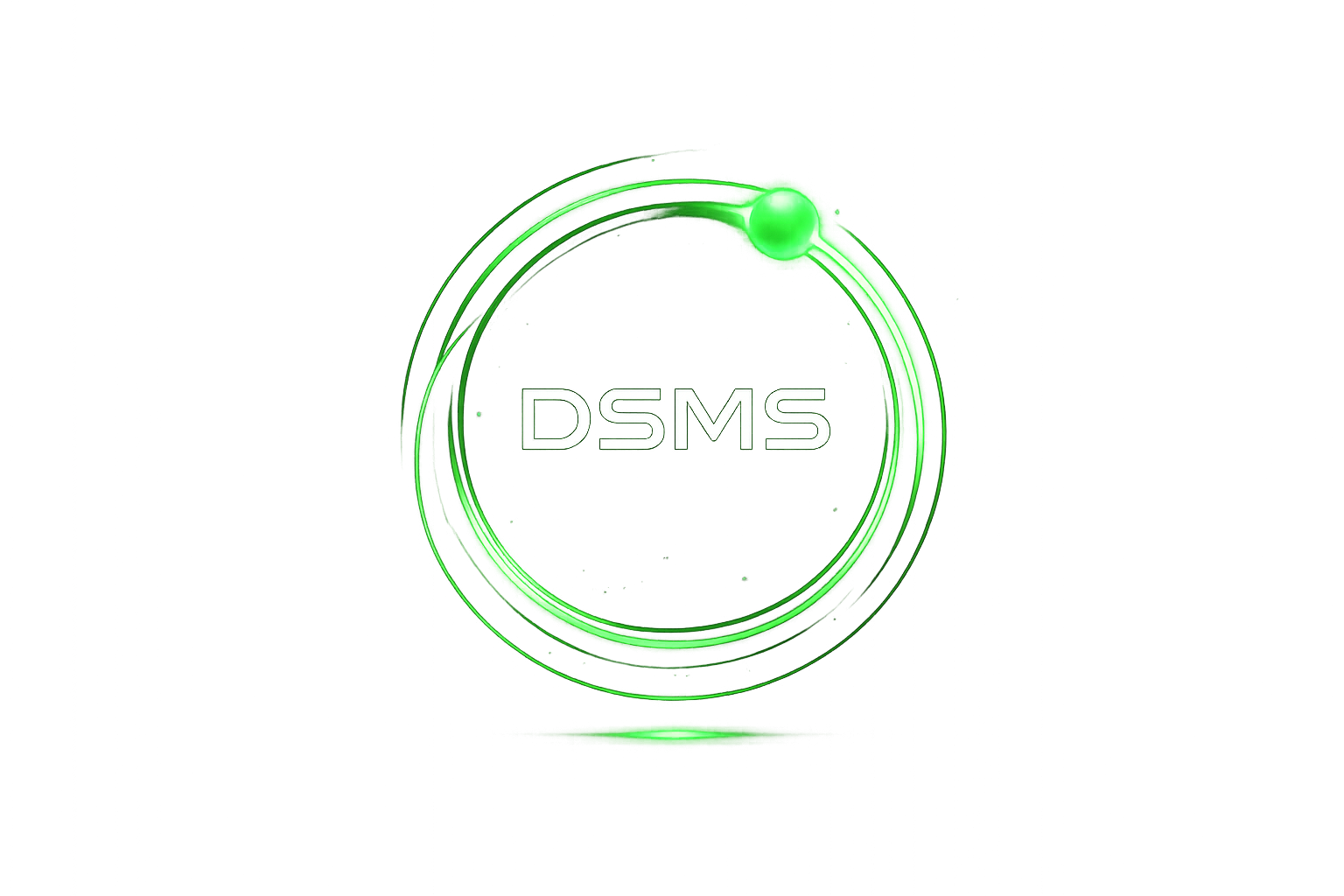 DSMS